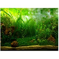 Fdit Póster De Fondo De Acuario con Diseño De Pecera- PVC- Adhesivo Decorativo De Papel- Hierba De Agua Verde- Estilo…